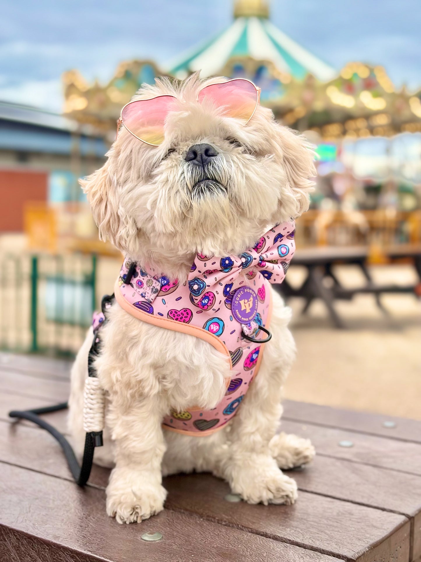 Adjustable Dog Harness - Doughnuts Delight