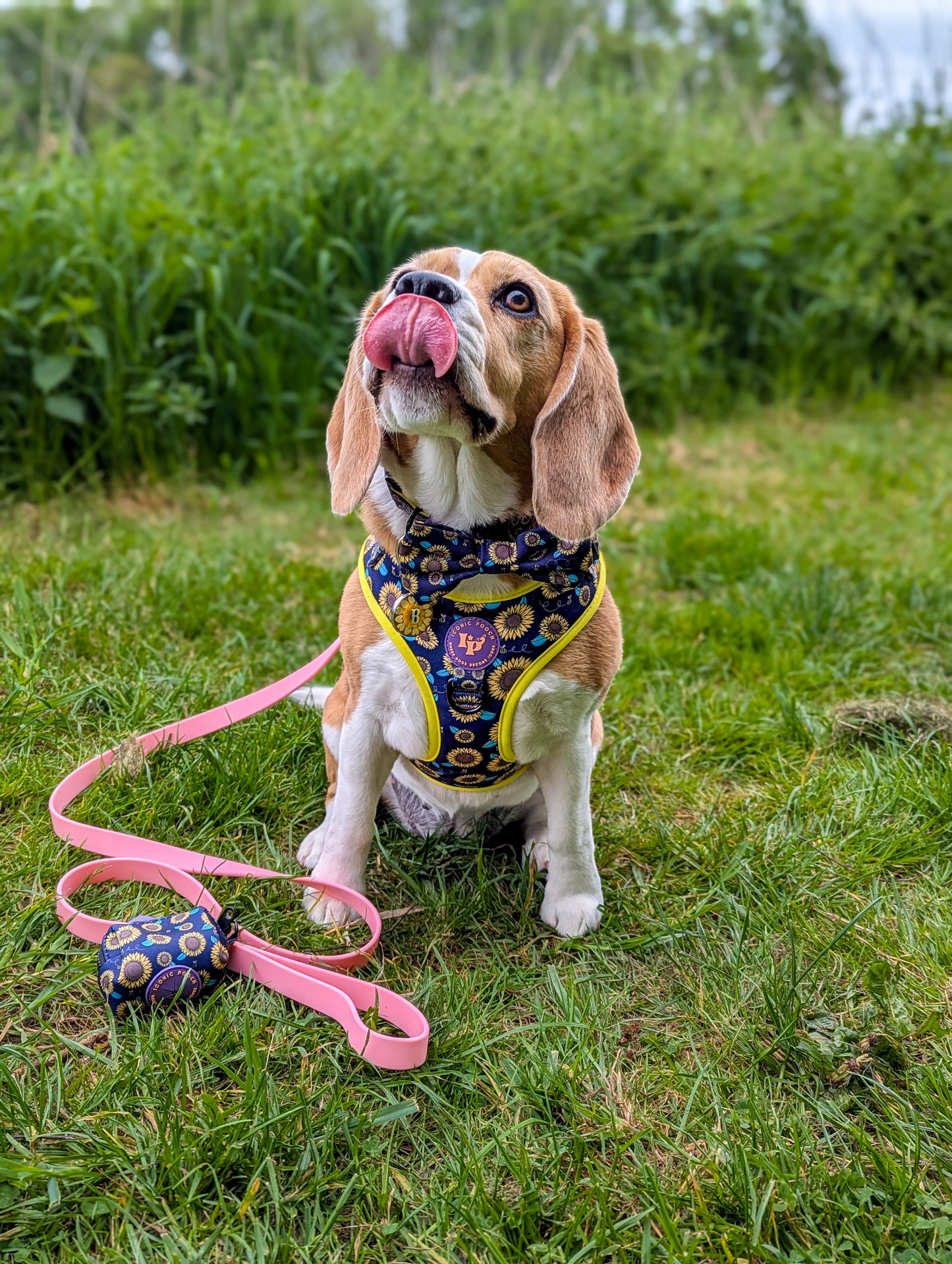 Waterproof Dog Lead