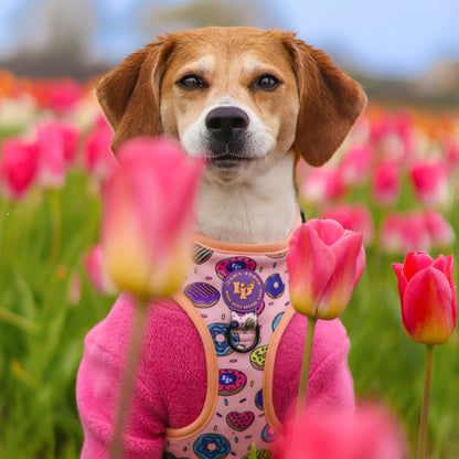 Adjustable Dog Harness - Doughnuts Delight