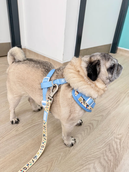 Adjustable Dog Harness - Endless Summer
