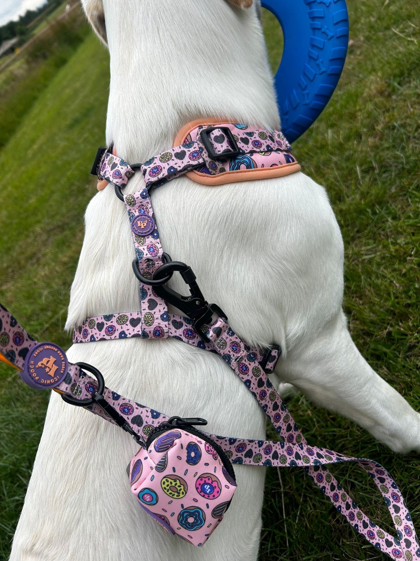 Dog Poop Bag Holder - Doughnuts Delight