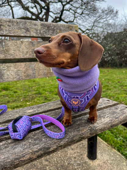 Dog Poop Bag Holder - Purple Passion