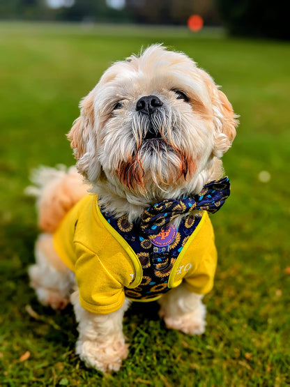 Dog Bow Tie - Sunflower Buzz