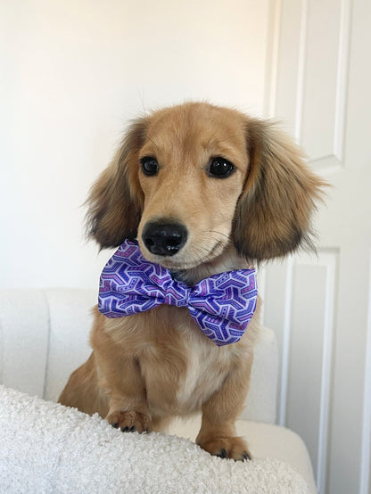 Dog Bow Tie - Purple Passion