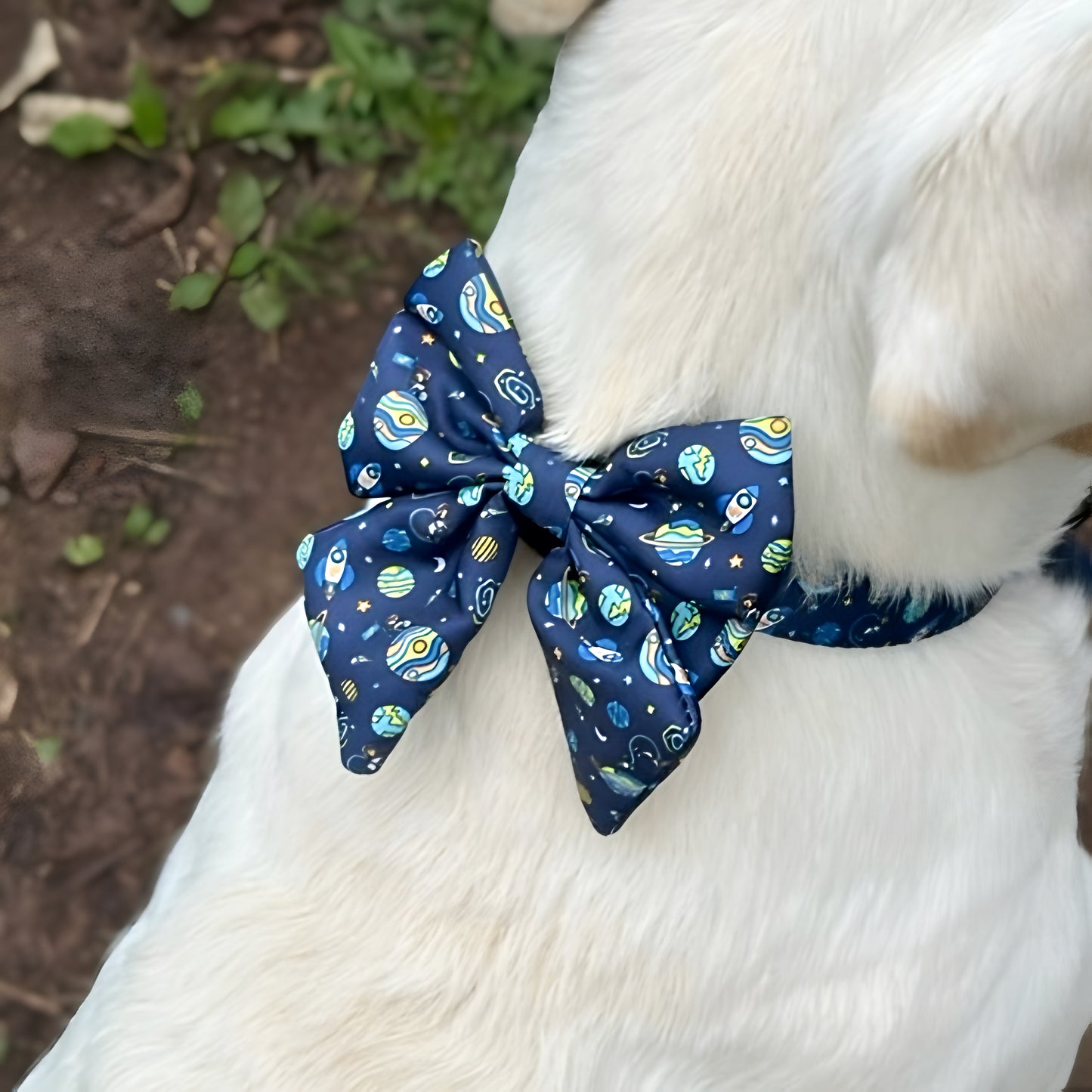 Dog Bow Tie - Mission: Iconic