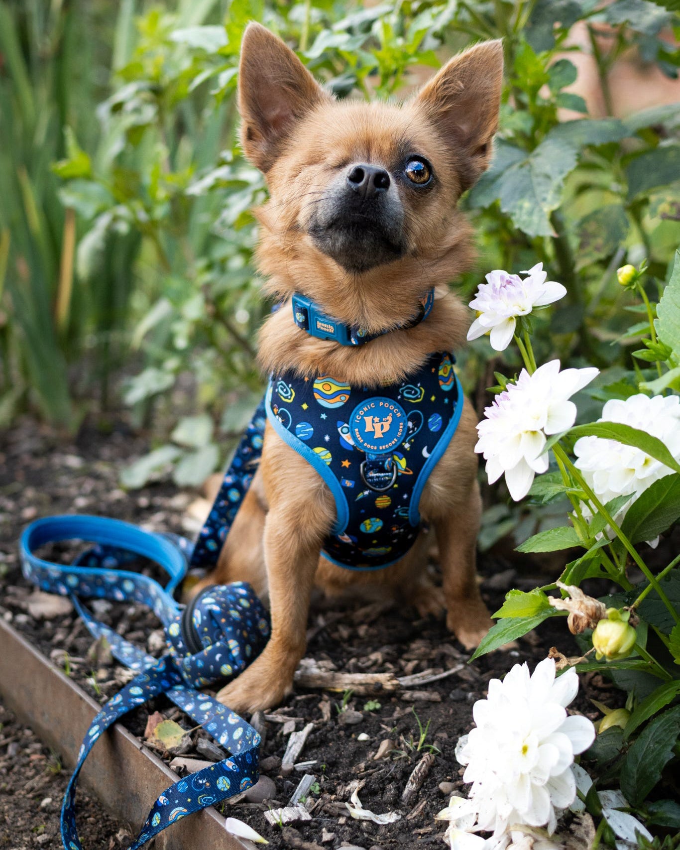 Dog Poop Bag Holder - Mission: Iconic