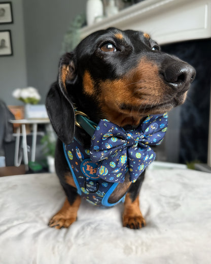 Sailor Bow Tie - Mission: Iconic