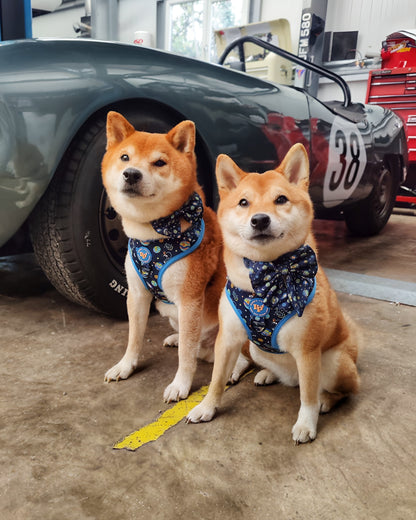 Dog Bow Tie - Mission: Iconic