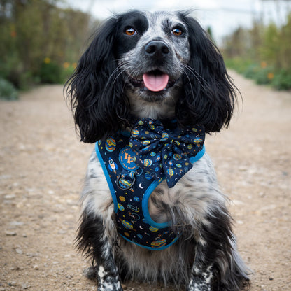 Sailor Bow Tie - Mission: Iconic