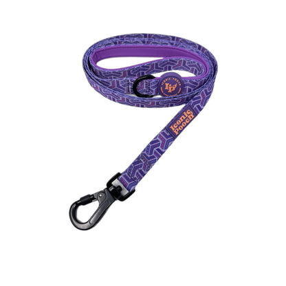 Dog Lead - Purple Passion