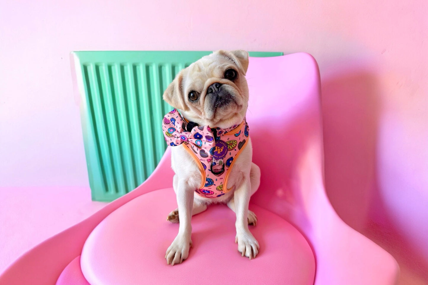 Dog Bow Tie - Doughnuts Delight